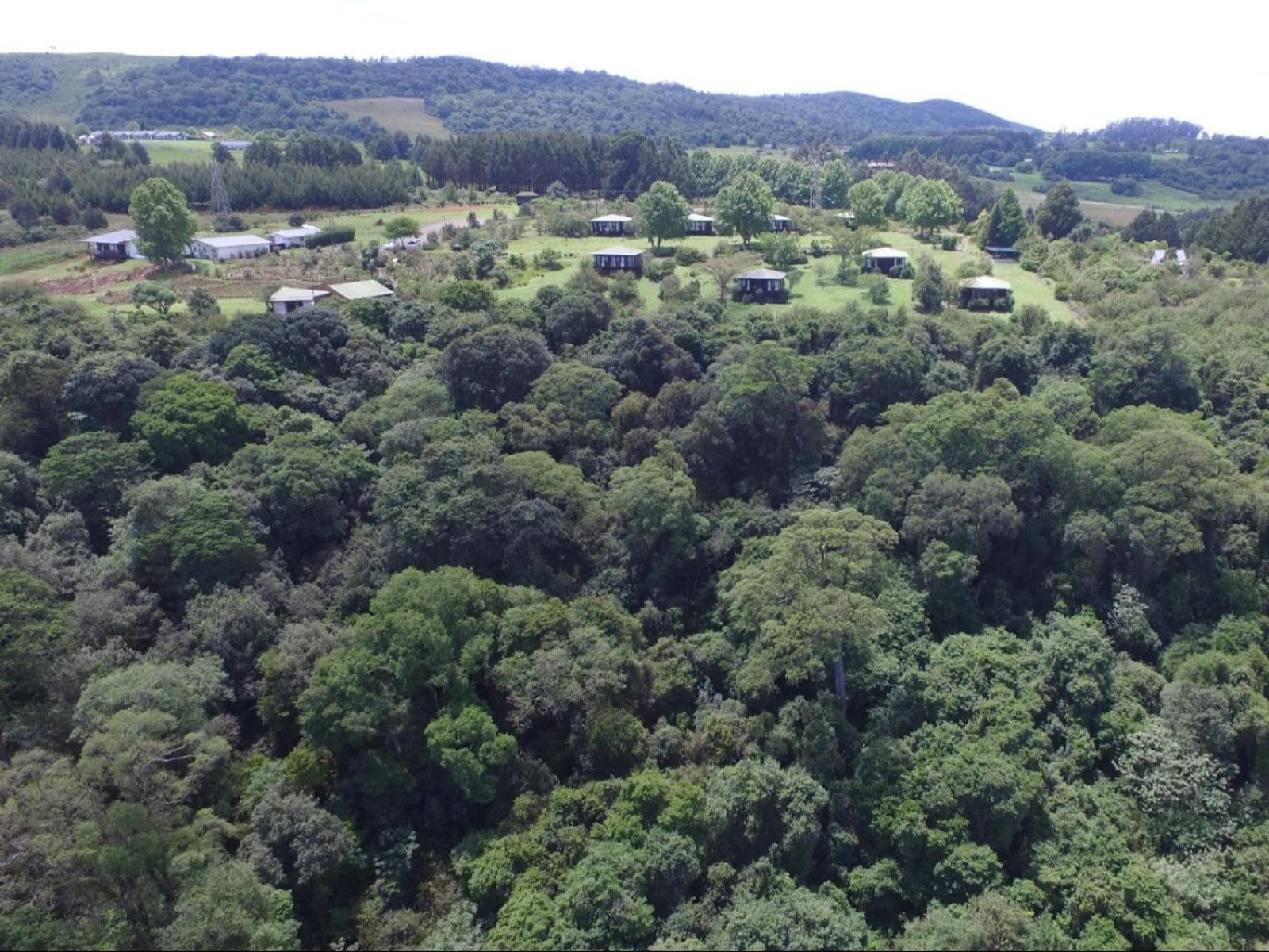 Midlands Forest Lodge Balgowan Luaran gambar